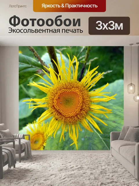 Фотообои Alant