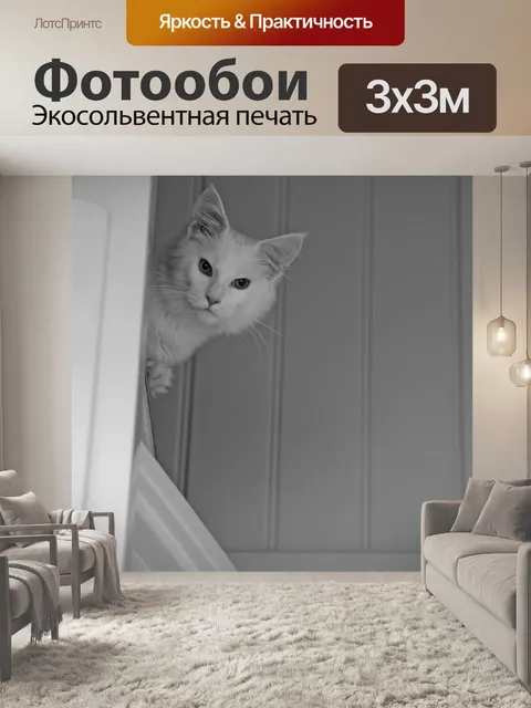 Фотообои Мейн-кун
