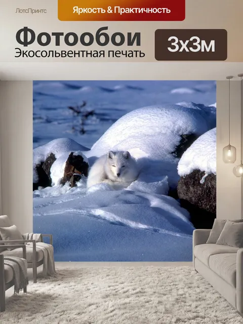 Фотообои Арктический