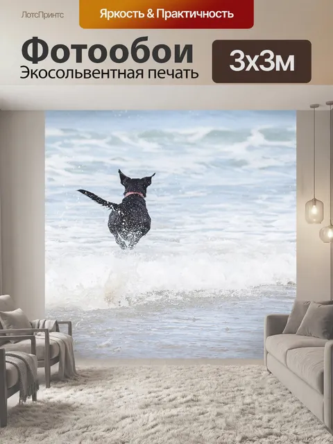 Фотообои Собака