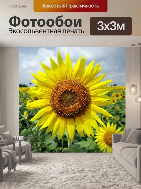 Фотообои подсолнух