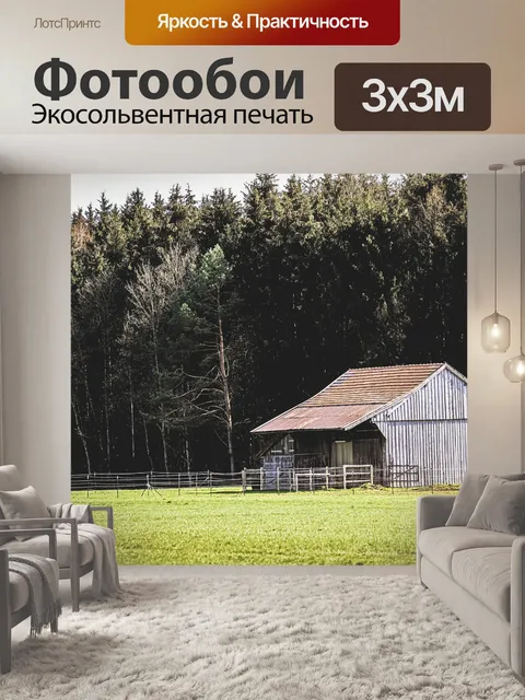 Фотообои Хижина