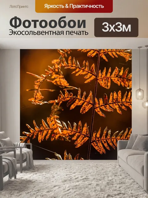 Фотообои Папоротник