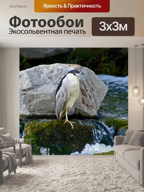 Фотообои Взрослый Ночной цапля