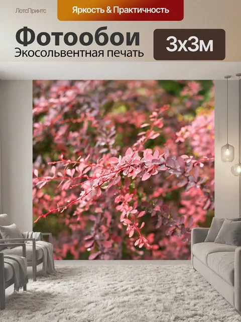 Фотообои Розовый куст