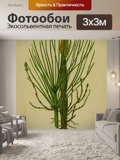 Фотообои Винтажная трава хвоща