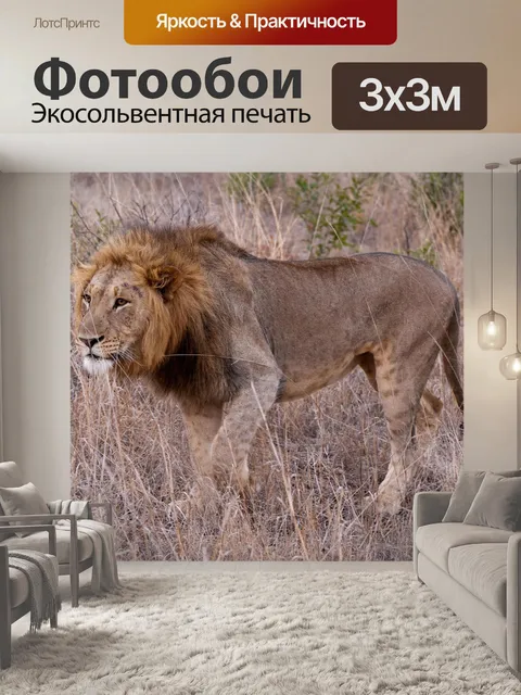 Фотообои Лев
