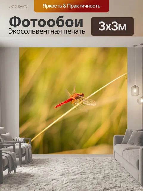 Фотообои Трава