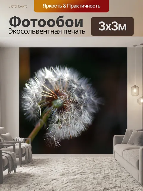 Фотообои вид пушистых белых семян одуванчика