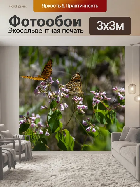 Фотообои бабочки на полевых цветах