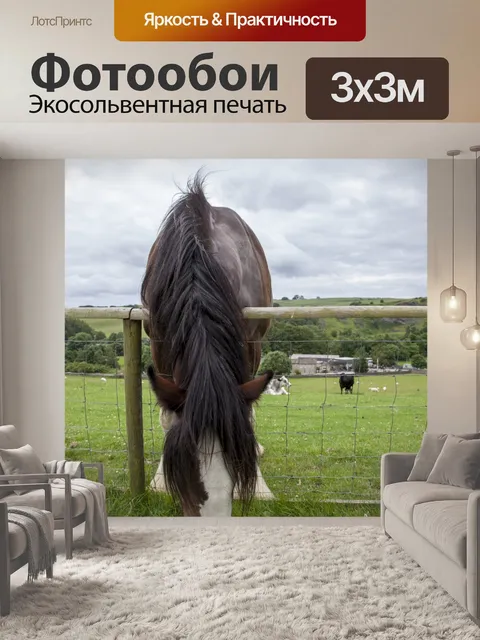 Фотообои Домашняя лошадь