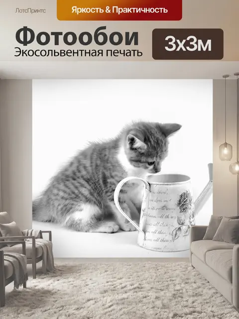 Фотообои кошка
