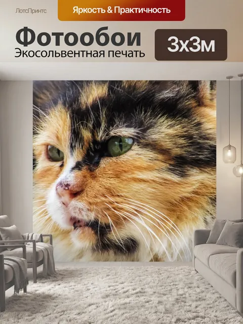 Фотообои Кошка