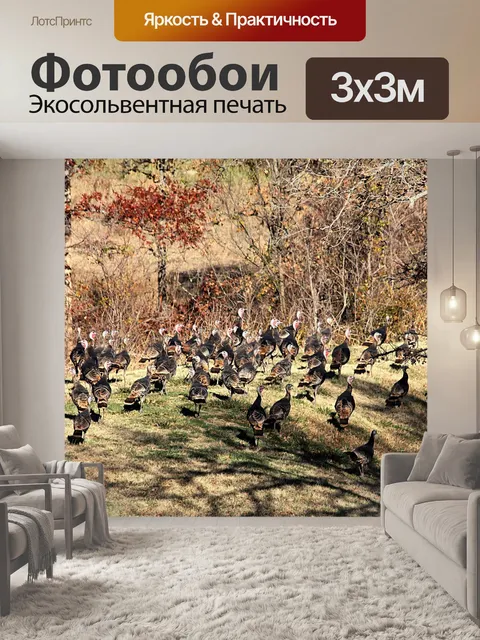 Фотообои Дикая Турция на плотине плотины