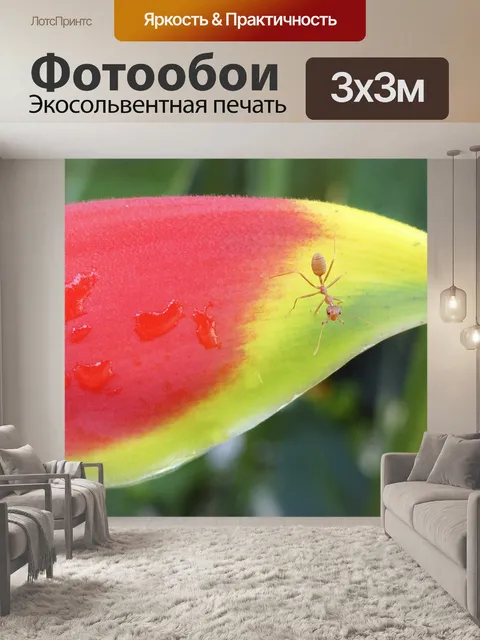 Фотообои Heliconia