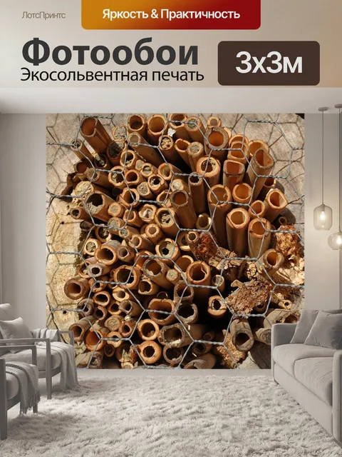 Фотообои Структура