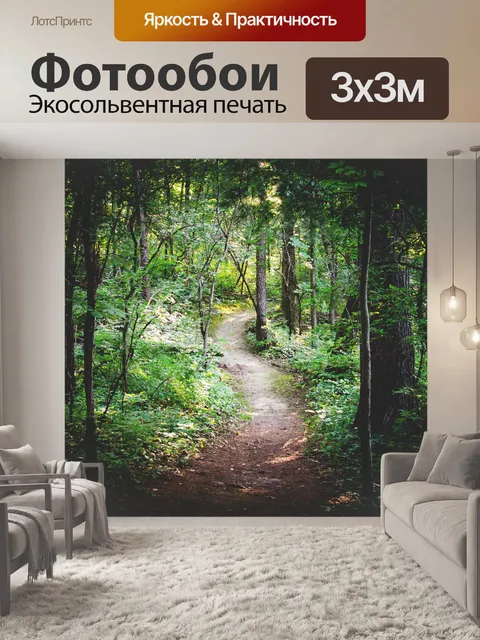 Фотообои Лесная тропа