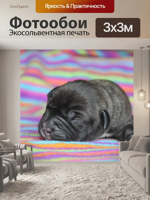 Фотообои Щенок
