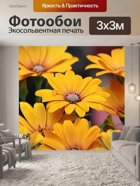 Фотообои Солнце с лепестками