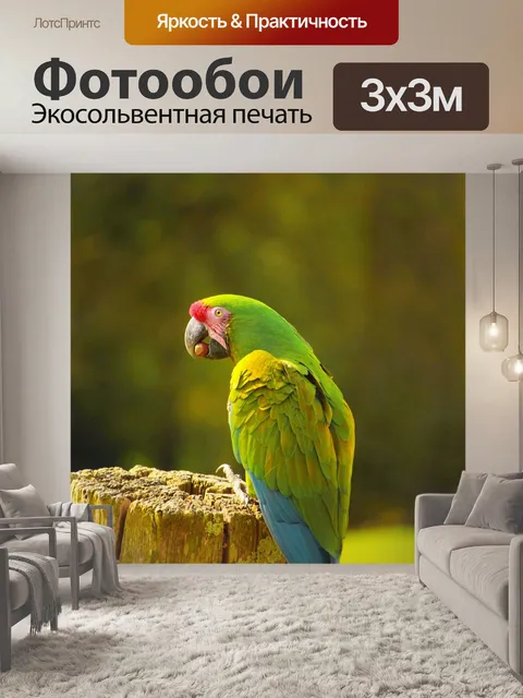 Фотообои Птицы