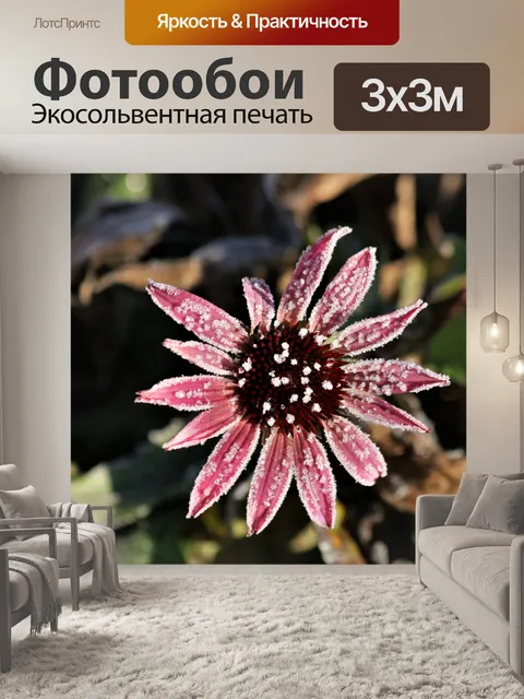 Фотообои Розовый конус и мороз