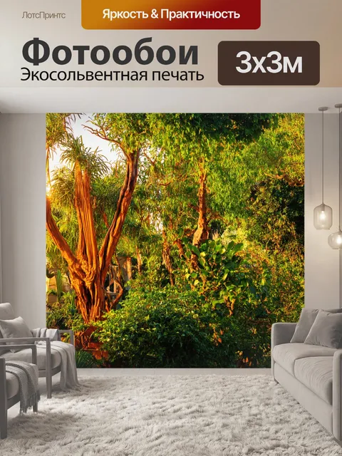Фотообои закат в ботаническом саду