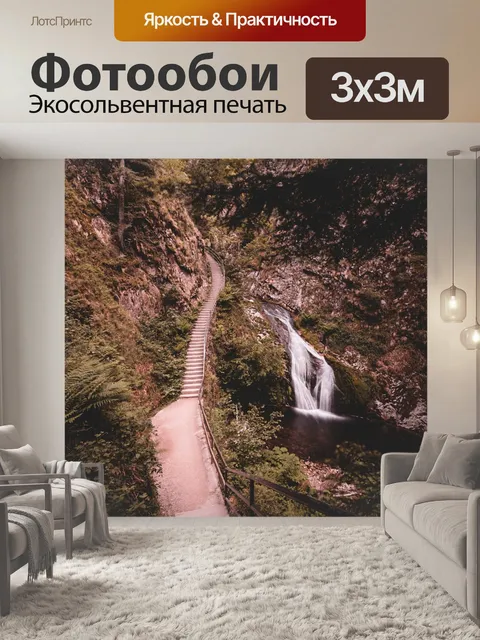 Фотообои Черный лес