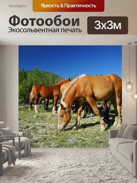 Фотообои Лошади
