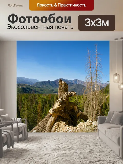 Фотообои Мертвые деревья и ствол дерева