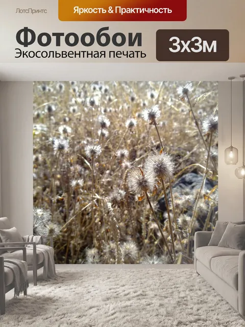 Фотообои Сухой