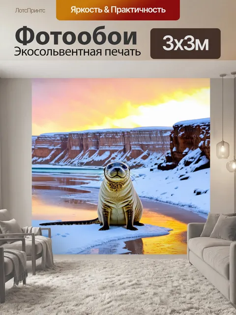 Фотообои тюлень, выступающий на берегу после зимней метели, с заснеженными скалами и цветным закатом на фоне