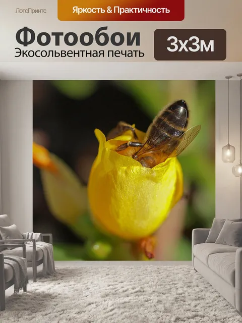 Фотообои Пчела