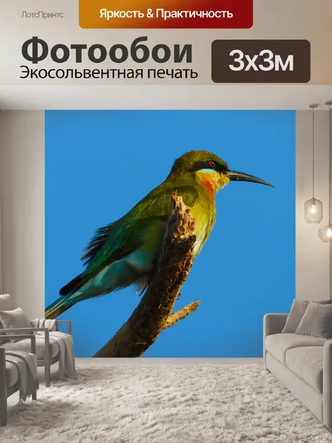 Фотообои Птица