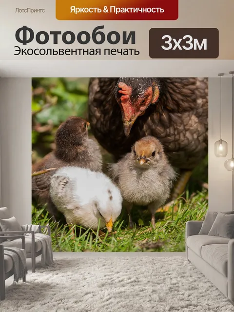 Фотообои Птицы