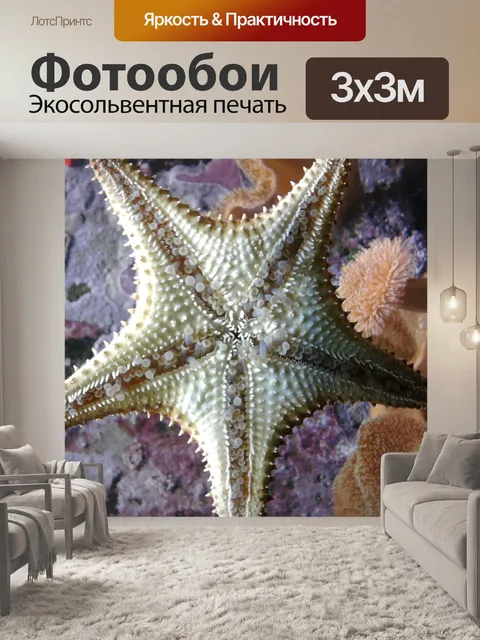Фотообои Морская звезда