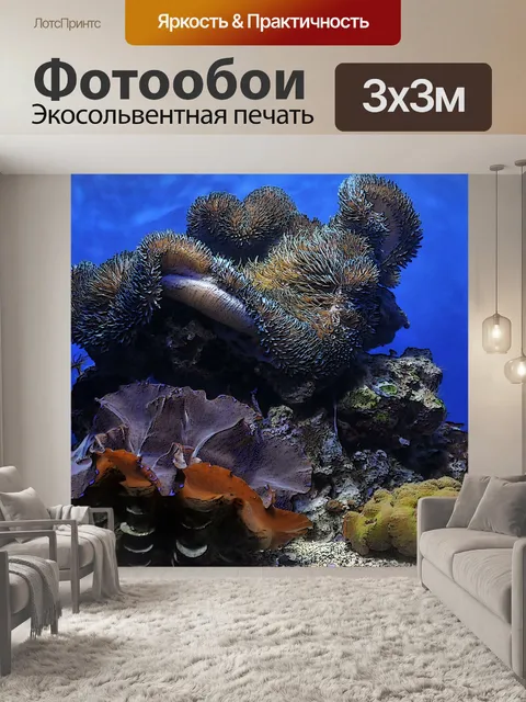 Фотообои Кораллы в морском аквариуме