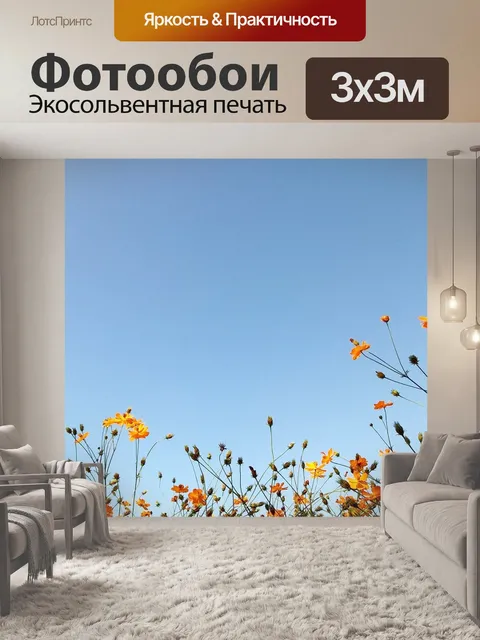 Фотообои Голубое небо
