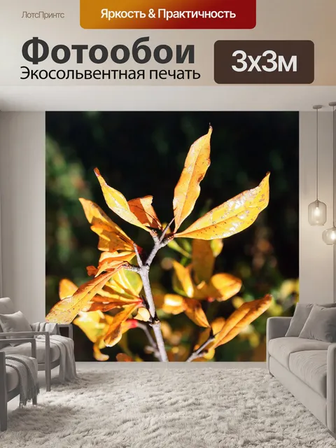 Фотообои желтые листья