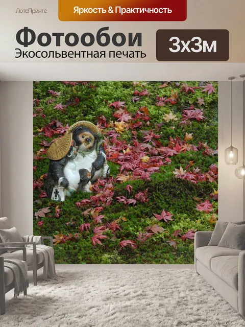 Фотообои Прекрасный енотовидная собака