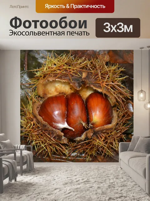 Фотообои Каштаны