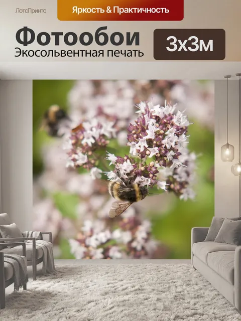 Фотообои Цветок