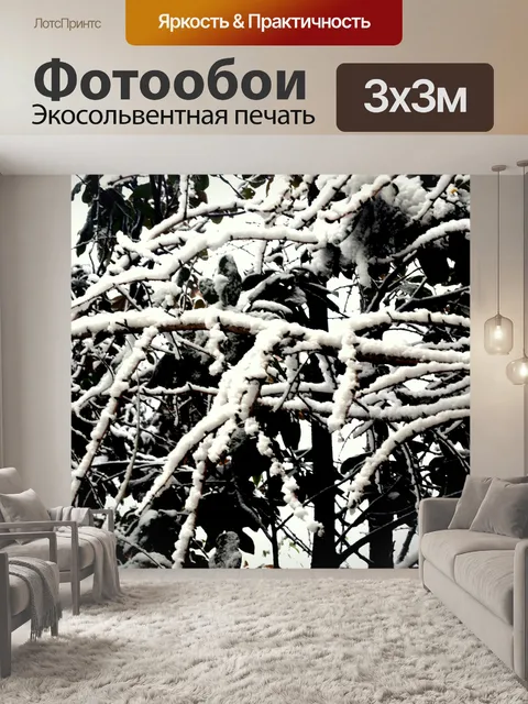 Фотообои Snow Covered Филиалы