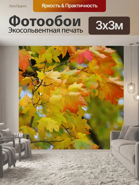 Фотообои Осень