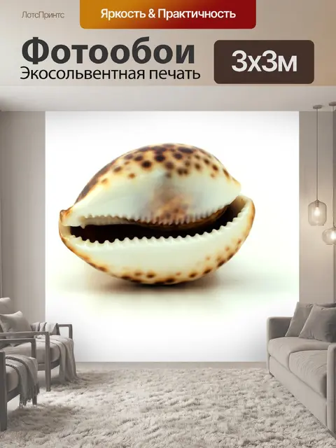 Фотообои Морская ракушка
