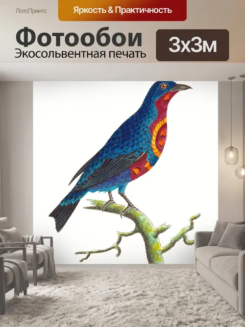 Фотообои Птица тропических старинных искусства