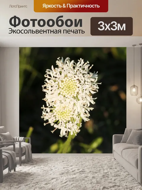Фотообои Слоеное поле с полевыми цветами крупным