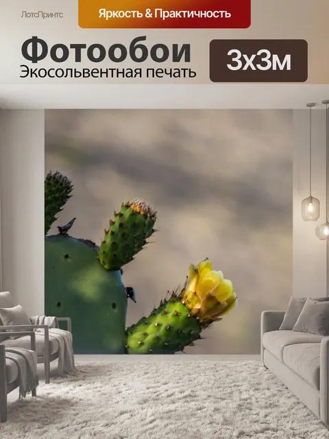 Фотообои цветы кактуса