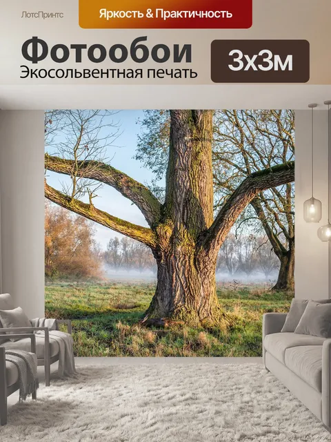 Фотообои Дерево
