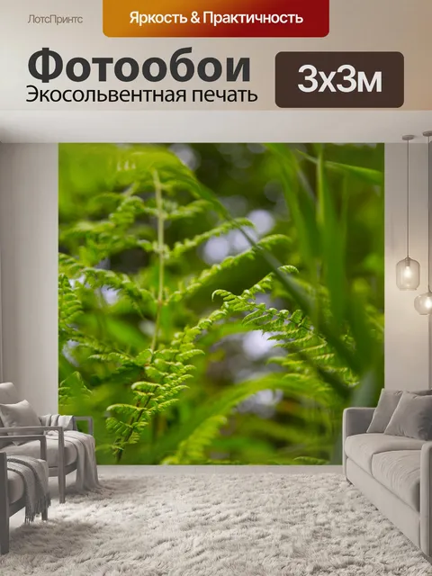Фотообои папоротник