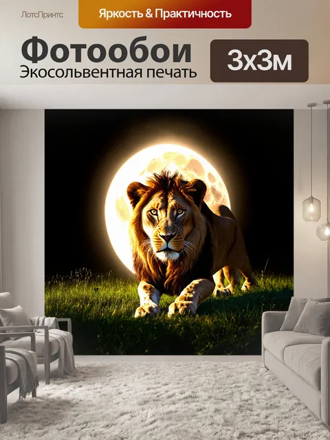 Фотообои лев, сосредоточенный и угрожающий, снимается на фоне яркого полного месяца